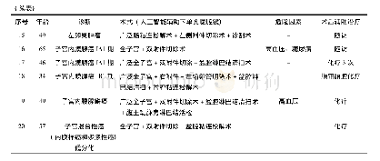 表1 20例人工智能辅助下单孔腹腔镜手术患者的一般临床资料