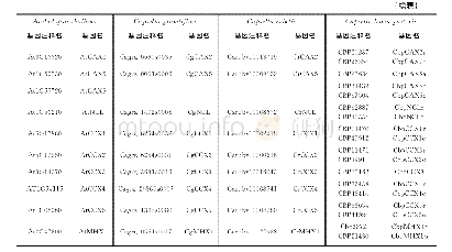 《表1 四倍体荠菜CaCAs基因原始注释名与简化名对应表》