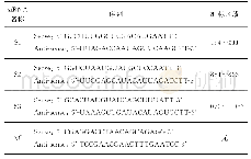 表1 SjENT3基因siRNA序列