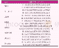 《表1 基因的qRT-PCR引物序列》