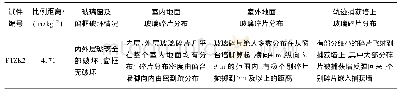 表2 普通中空玻璃与钢化中空玻璃宏观破坏描述