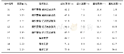 表3 构件的破坏形态：接触爆炸对BFRP筋-格栅增强混凝土板的破坏效应试验研究