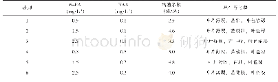 《表2 不同处理对白掌不定芽增殖的影响》