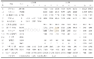 表4 资本金现金流量表：WS高速公路项目PPP模式财务分析