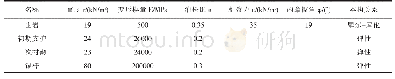 表2 材料参数：顺层偏压地层下隧道开挖参数优化探讨