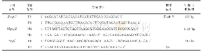 表1 MpigE基因、PtrpC启动子、TrpC终止子重叠延伸PCR引物设计