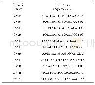 表1 ChiVMV RT-PCR特异性引物