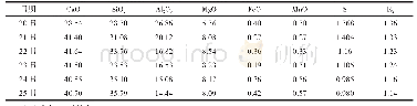 表7 开炉后炉渣成分（%）