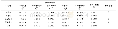 《表4 准则层各指标权重系数》