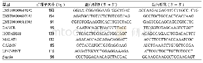 《表1 lncRNA引物序列》