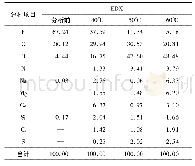 表2 膜表面EDX分析结果表