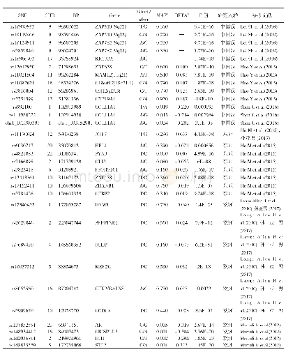 《表1 31个SNP位点基因信息》