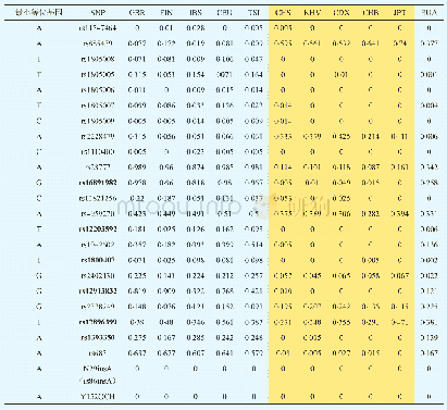 表2 HIrisPlex体系SNP位点在欧洲、亚洲及亚欧混合人群中的最小等位基因频率分布