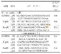 表1 RT-q PCR特异性引物序列