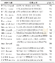 《表1 引物信息：片仔癀对大肠癌细胞Hedgehog信号通路调控的体内外研究》