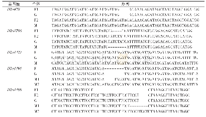《表4 2号染色体上16个STR基因座的Sanger测序结果》