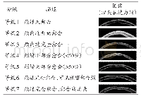 表2 颅缝愈合等级：应用颅缝薄层CT扫描推断汉族成人年龄