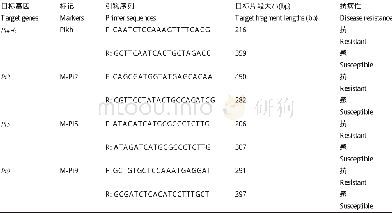 《表3 分子标记分析引物及标记片段大小Table 3 Analysis of the primers and the size of the fragments by molecular marker