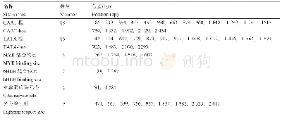 《表1 IbCHS基因启动子元件》