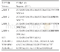 表2 启动子克隆引物序列