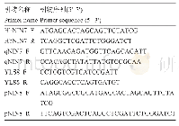 《表2 引物信息：橡胶树中碱性转化酶基因HbNIN7的克隆与表达分析》