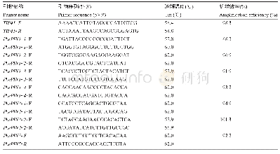表3 q RT-PCR引物序列及扩增特征