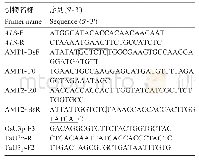 《表1 乙酰乳酸合成酶PCR扩增相关引物》