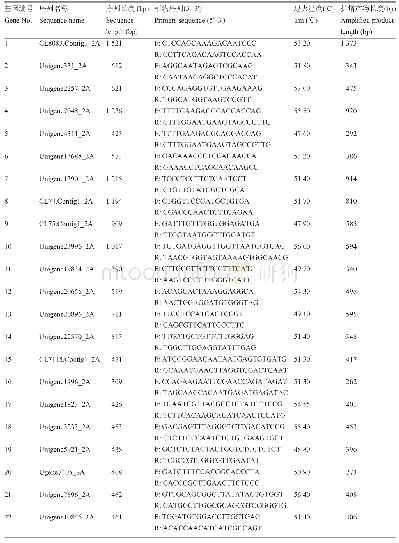 《表1 樟叶越桔CYP450基因序列和PCR引物信息》