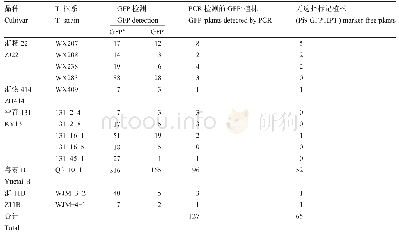 表3 转Pi9抗稻瘟病基因的无选择标记T1代植株的筛选