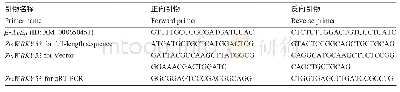 表1 引物序列：玉米ZmWRKY53基因克隆及诱导表达分析