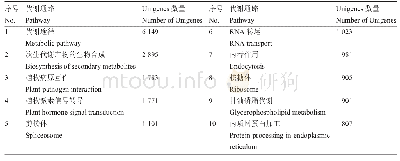 《表1 Unigenes数量最多的10个KEGG代谢通路》