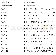 《表1 引物序列：水稻类病斑突变体spl41的表型鉴定及生理分析》