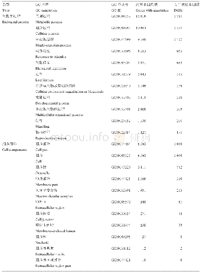 表5 DEGs前11富集的GO功能注释