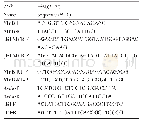 表1 引物序列：蒺藜苜蓿转录因子MtMYB的克隆、表达分析及拟南芥转化