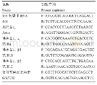 表3 候选内参基因引物序列