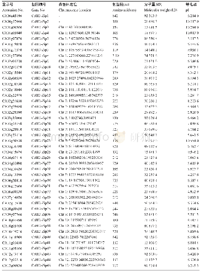 表1 辣椒HD-Zip转录因子基因家族