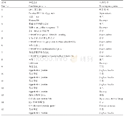 《表1 15种互作蛋白的Nr注释》