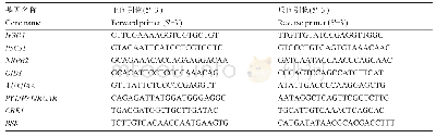 表3 基因名称及引物序列