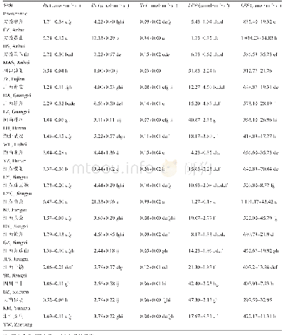 表1 不同种源石蒜光合参数比较