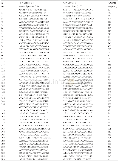 《表2 筛选的山核桃MITE标记引物对序列》