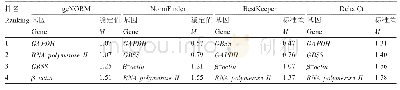 表1 候选内参基因稳定性排名