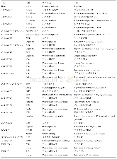 表2 抗病相关的WRKY转录因子