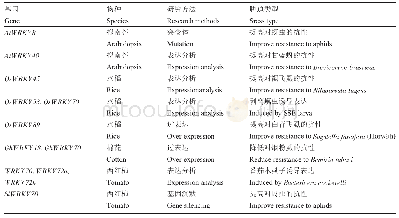 表3 植食性昆虫相关WRKY转录因子