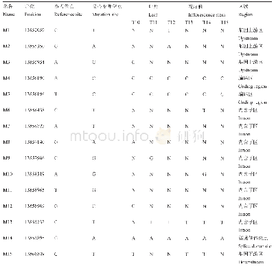 表1 参考白菜全基因组,基于菜心花序轴和叶片的转录组数据鉴定的Bc FLC1 SNP位点