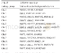 表1 培育早粳稻软米‘空育131’(Wx-mq)导入系背景选择SSR标记