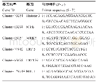 表4 实时定量RT-PCR引物序列