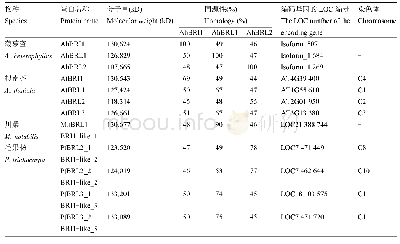 表1 BRI1蛋白家族成员同源性比较