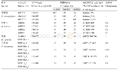 《表1 BRI1蛋白家族成员同源性比较》