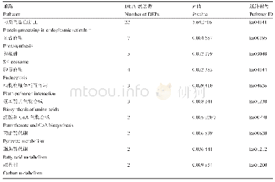 表1 差异表达蛋白排名前10的KEGG通路富集分析