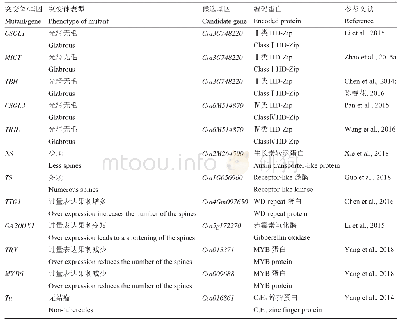 表1 已报道的黄瓜表皮毛发育基因